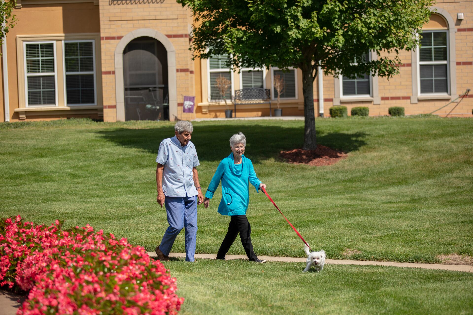 senior couple walking outside with dog
